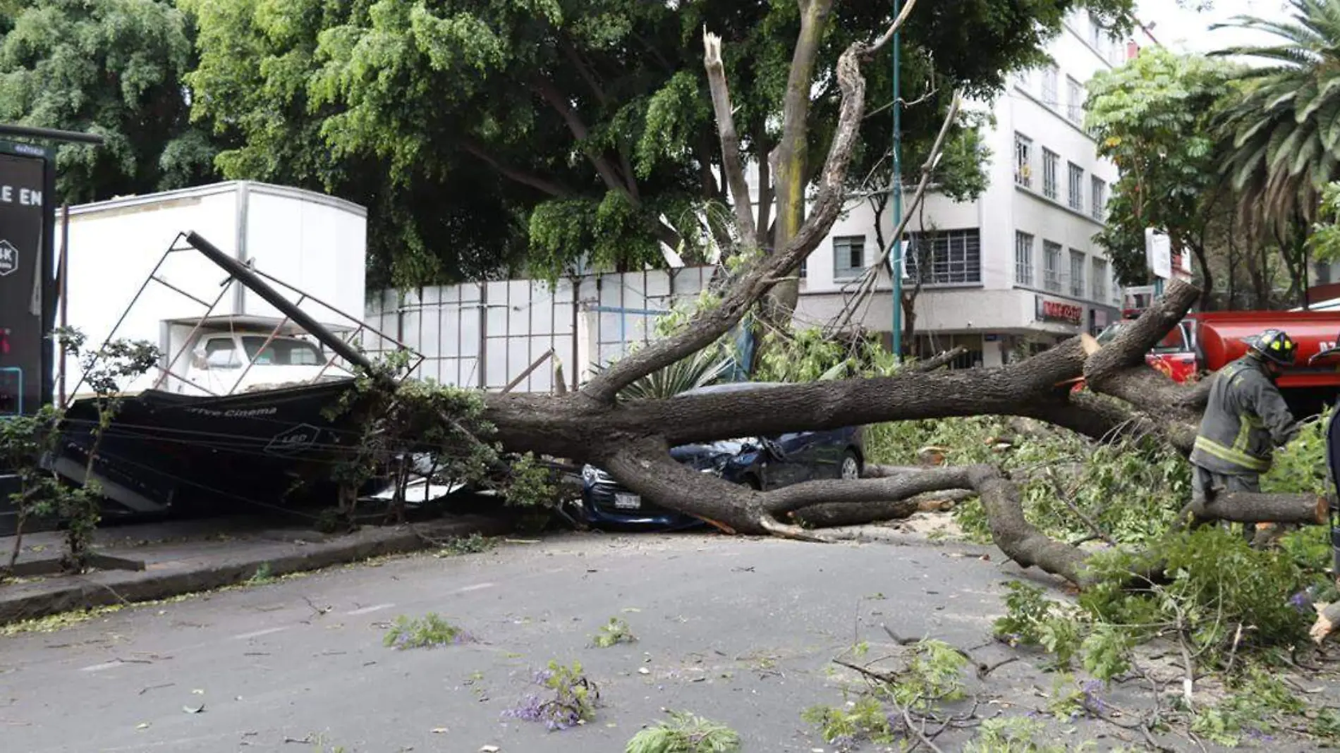 Pese a las elevadas temperaturas que se han registrado en los últimos días, durante algunas tardes se han desatado fuertes lluvias o incluso hasta fuertes rachas de viento